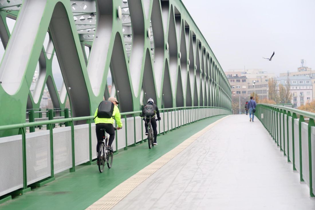 Fahrradweg auf der Starý most über die Donau