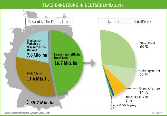 Die Tortengrafik zeigt den Anteil der Energiepflanzen sowohl an der landwirtschaftlichen Nutzfläche als auch an der Gesamtfläche Deutschlands. 