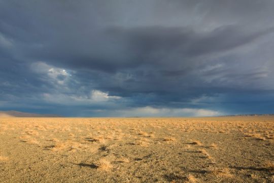 Über einer ebenen Wüstenlandschaft mit wenigen trockenen Pflanzen braut sich am dunklen Himmel ein Sturm zusammen.