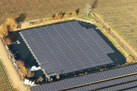 Ein fast quadratischer Teich inmitten von Weinstöcken ist fast vollständig mit schwimmenden Solarmodulen bedeckt.
