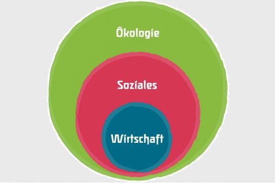 Ein blauer Kreis "Wirtschaft" in einem roten Kreis "Soziales" in einem grünen Kreis "Ökologie".