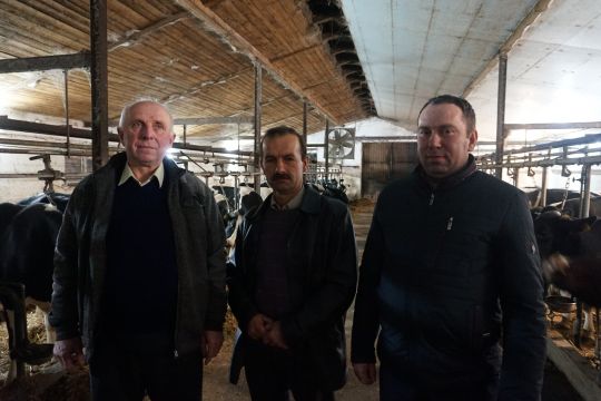 Stanisław Skibiński senior, Zbigniew Zasina und Stanisław Skibiński junior im Kuhstall der Skibińskis.