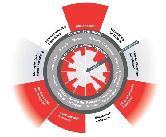 Torten-Balken-Diagramm: Weltweit werden zu viele Ressourcen verbraucht, während Grundbedürfnisse vielfach unerfüllt bleiben.