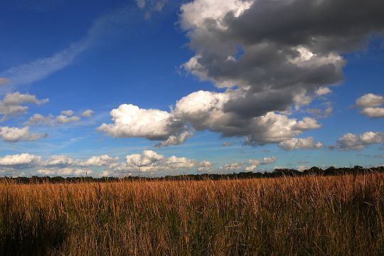 Feld mit Wolken darüber.