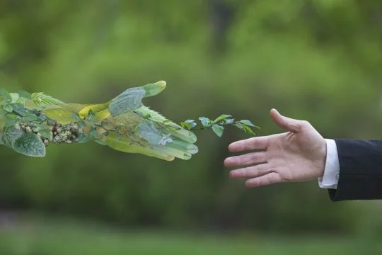 Hand eines Geschäftsmannes, ausgestreckt zur Hand der Natur, die aus Pflanzenteilen zusammengesetzt ist.