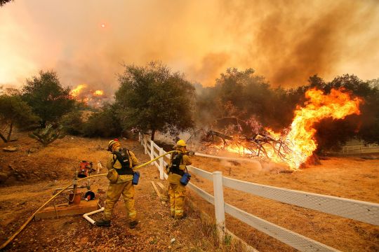 Feuerwehrmänner kämpfen gegen Waldbrände in Kalifornien