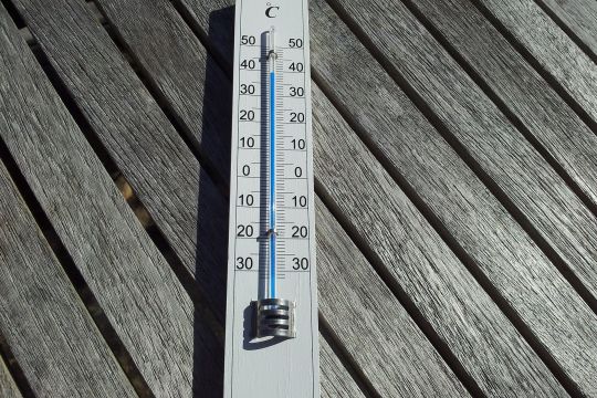 Ein Thermometer liegt auf einer Holzoberfläche, es zeigt 40 Grad.