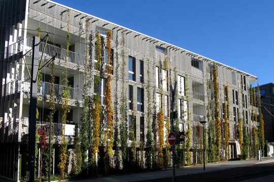 Fassadenbegrünung am Paula-Modersohn-Platz in Freiburg-Vauban 