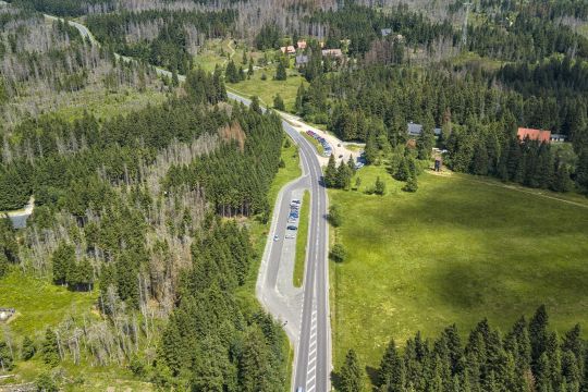 Ein Waldstück im Harz