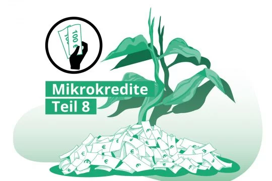 Grafik: Eine Pflanze wächst aus einem Haufen Geldscheine