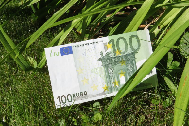 Ein grüner Hundert-Euro-Schein liegt im grünen Gras.