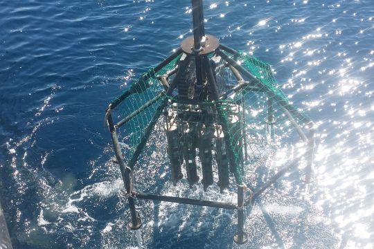 Vorrichtung zur Probenahme wird vom Schiff ins Meer heruntergelassen.