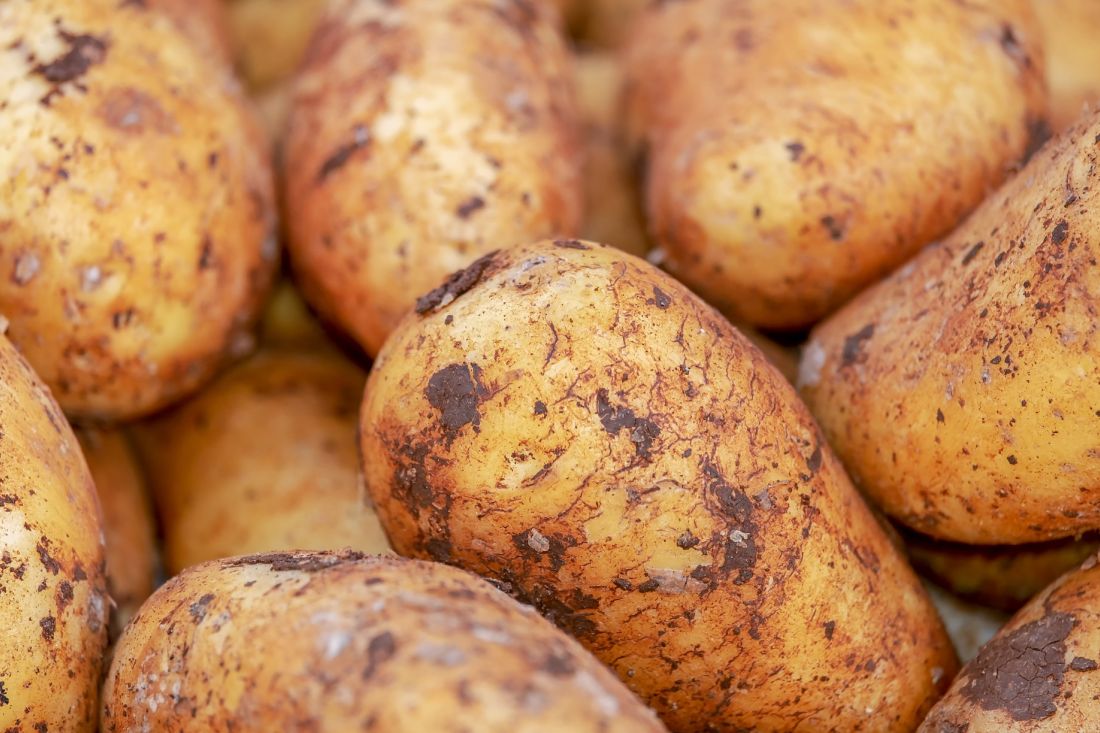 Einige Kartoffeln in Nahaufnahme.