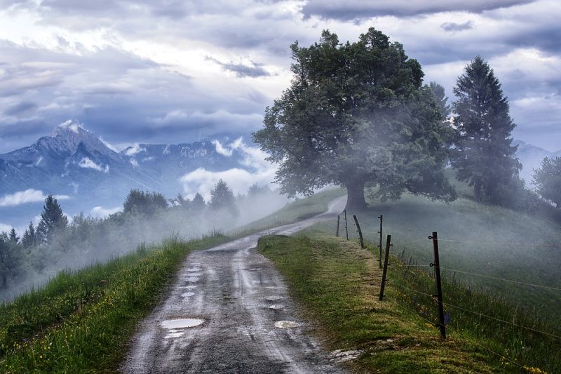 Waldstraße bei Jamnik in den slowenischen Alpen mit Pfützen und einem kräftigen Laubbaum, darauf Nebel, im Hintergrund ein Alpengipfel und imposante Wolken.
