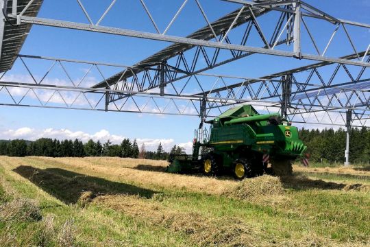 Ernte unter eine Agrophotovoltaikanlage