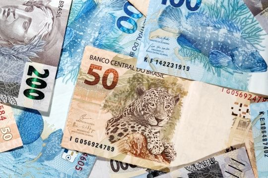 Verschiedene brasilianische Banknoten, die einen Jaguar, einen Zackenbarsch und die Efígie da República, ein Frauenkopf als Symbol der Republik.