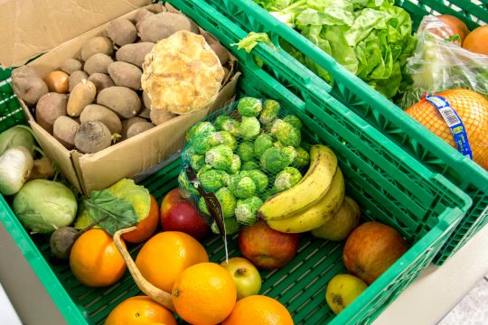 Kiste mit Lebensmitteln, die im Supermarkt aussortiert und von Aktivistinnen und Aktivisten gerettet wurden.