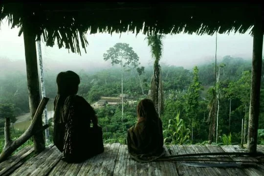 Zwei Kinder der Asháninka im brasilianischen Regenwald sitzen in einem hohen Baumhaus und schauen herunter.