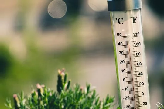 Ein Thermometer im Grünen zeigt 41 Grad Celsius beziehungsweise 106 Grad Fahrenheit.
