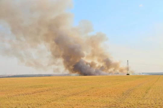 Rauchsäule über einem abgeernteten Feld. 