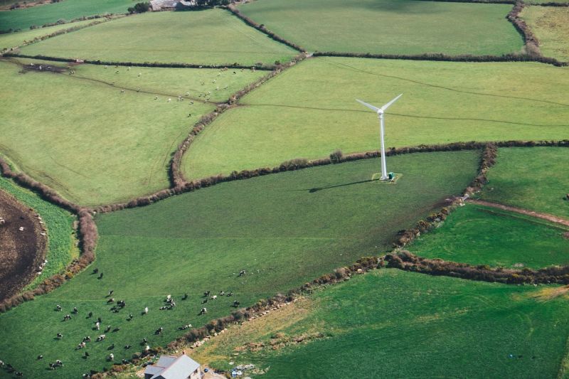 Windrad in welliger Landschaft mit Weiden und Hecken.