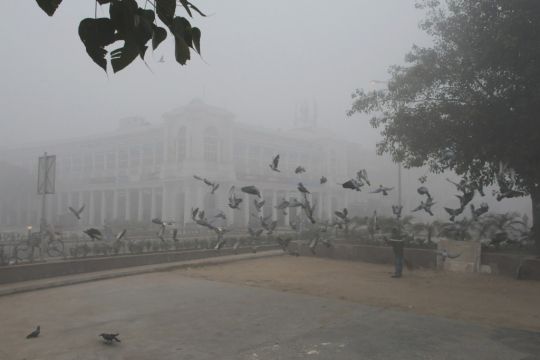 Ein Straßenkehrer hat einen Schwarm Tauben auf einem Platz aufgescheucht, dahinter eine Straße und ein Gebäude im Kolonialstil, alles in dichtem Smog.