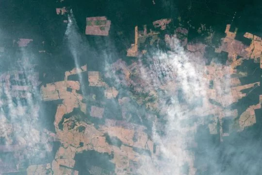 Satellitenaufnahme von brennendem Regenwald