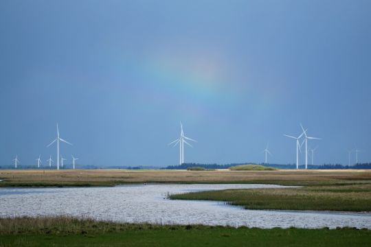 Windräder in einer Seenlandschaft in Westjütland.