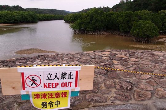 Mangrovenwald, davor ein Warnschild auf Japanisch und Englisch: Nicht betreten!