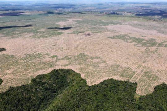 Riesige Fläche, die für die Landwirtschaft abgeholzt wurde, am Rand ein Stück-Rest-Regenwald.