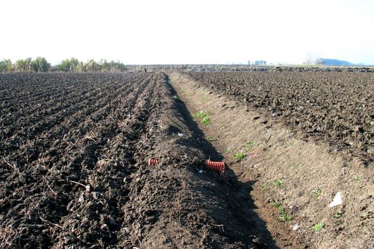 Drainage-Rohr gegen Bodenversalzung.