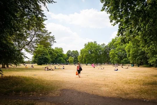 Infolge der Hitze wächst auf der große Liegewiese im Park kein Gras mehr.