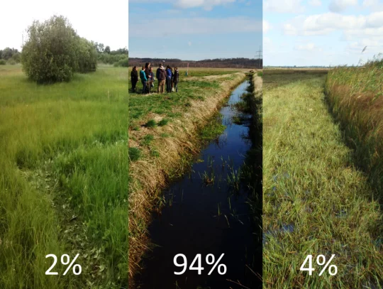 Zwei Prozent der Moorflächen sind noch naturnah, 94 Prozent sind entwässert, vier Prozent wiedervernässt.