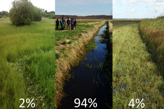 Zwei Prozent der Moorflächen sind noch naturnah, 94 Prozent sind entwässert, vier Prozent wiedervernässt.