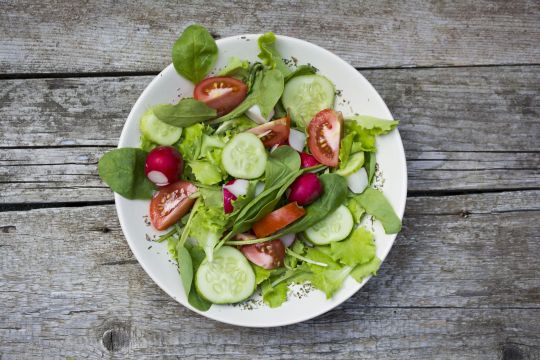 Ein Teller voller Salatgemüse.