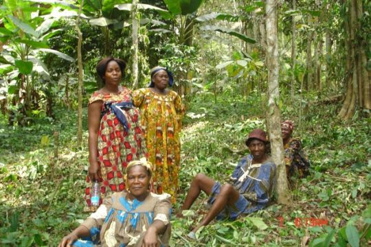 Einige Frauen und ein Mann sitzen und stehen im Regenwald im Süden von Kamerun.