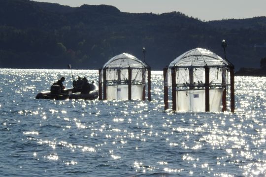 Zwei Mesokosmen im Raunefjord in Norwegen