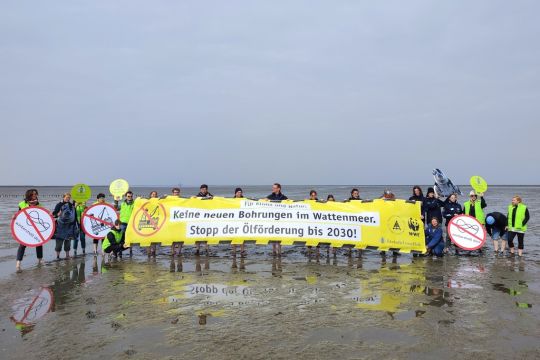 Ein Dutzend Menschen, einige als Robben kostümiert, steht barfuß am Rand des Wattenmeers und hält ein gelbes Transparent hoch: Keine neuen Bohrungen im Wattenmeer. Stopp der Ölförderung bis 2030!