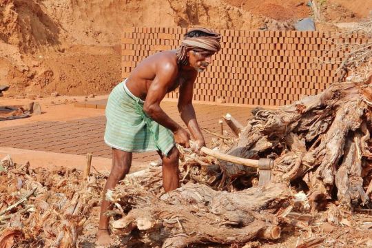 Nur mit einem Dhoti bekleideter Mann zerkleinert trockenes Baumholz mit der Axt, hinter ihm eine Fläche, auf der Lehmziegel traditionell hergestellt werden, dahinter zum Trocknen aufgestapelte Ziegel.