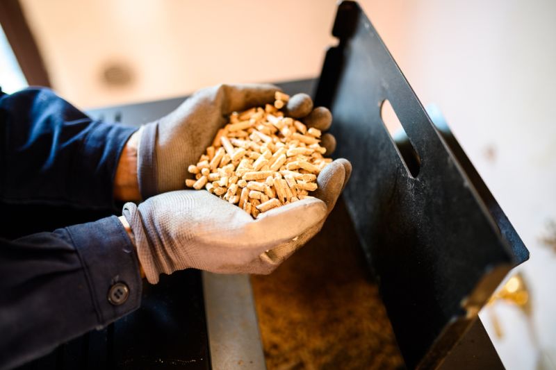 Zusammengelegte Hände mit einem Häufchen Pellets, die gerade einem Blechkasten entnommen wurden.