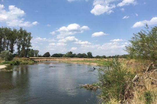 Blick vom Ufer auf das Flüsschen Mulde in Sachsen, im Hintergrund eine flache Landschaft mit Bäumen.