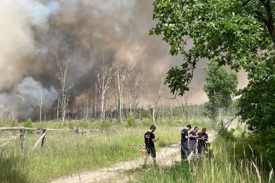Einige Menschen auf einem Waldweg, im Hintergrund ein Waldbrand mit starker Rauchentwicklung.