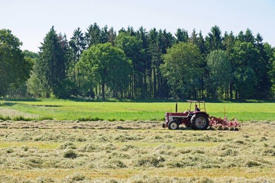 Heuernte mit dem Traktor auf einem Feld im Münsterland, im Hintergrund Mischwald.