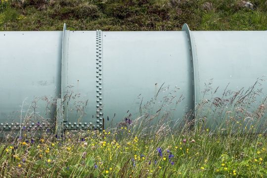 Einige Meter einer hellgrünen Trinkwasserpipeline in Großaufnahme auf einer Wiese.