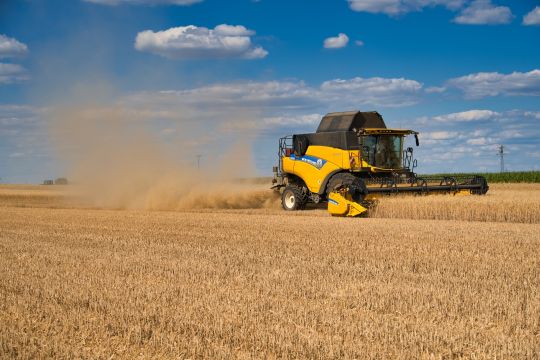 Weizenernte mit dem Mähdrescher auf einem riesigen Feld.