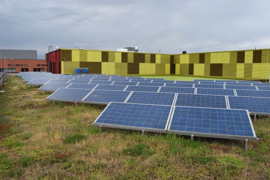 Auf einem großen Flachdach sind Solarmodule installiert, daneben wachsen Gräser, Moose und andere Pflanzen.