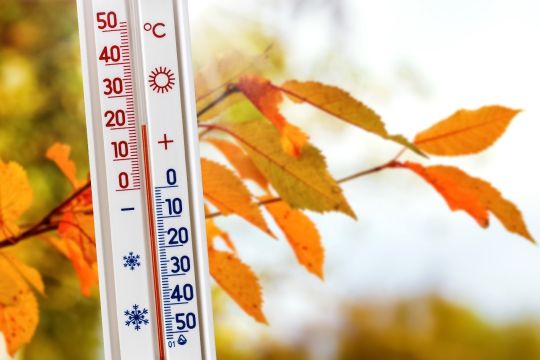 Ein Plastik-Thermometer zeigt 20 bis 21 Grad, dahinter ein Zweig mit schönem, organgefarbenem Herbstlaub.
