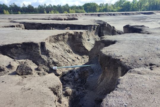 Etwa zwei Meter breiter Aufbruch im Ödland eines lange aufgegebenen Braunkohletagebaus in der Lausitz.