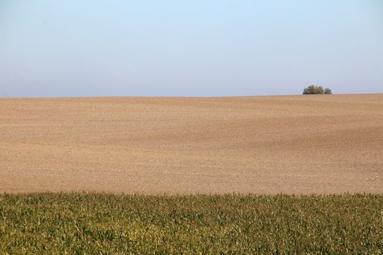 Riesiges abgeerntetes Feld bei Löbnitz in Vorpommern.