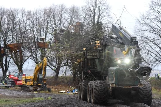 Ein großer Harvester und ein Bagger stehen auf einer Wiese, an deren Rand eine Reihe Bäume mit Baumhäusern steht.